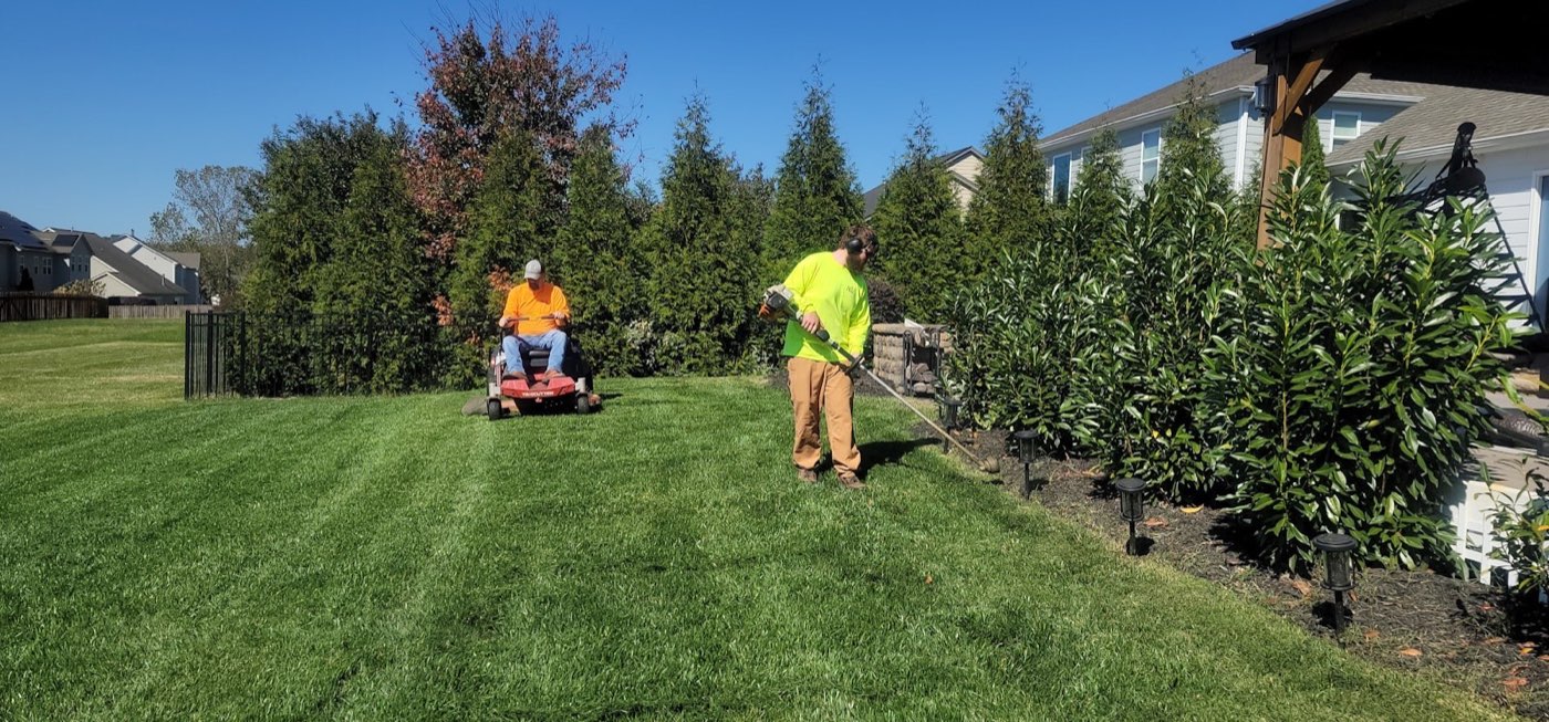 Lawn mowing and hedge trimming underway in a western Melbourne backyard