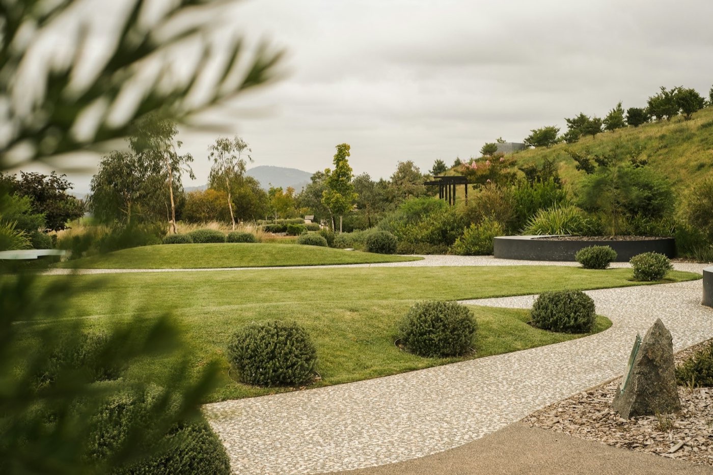 Landscaped garden with lawn, path and garden beds