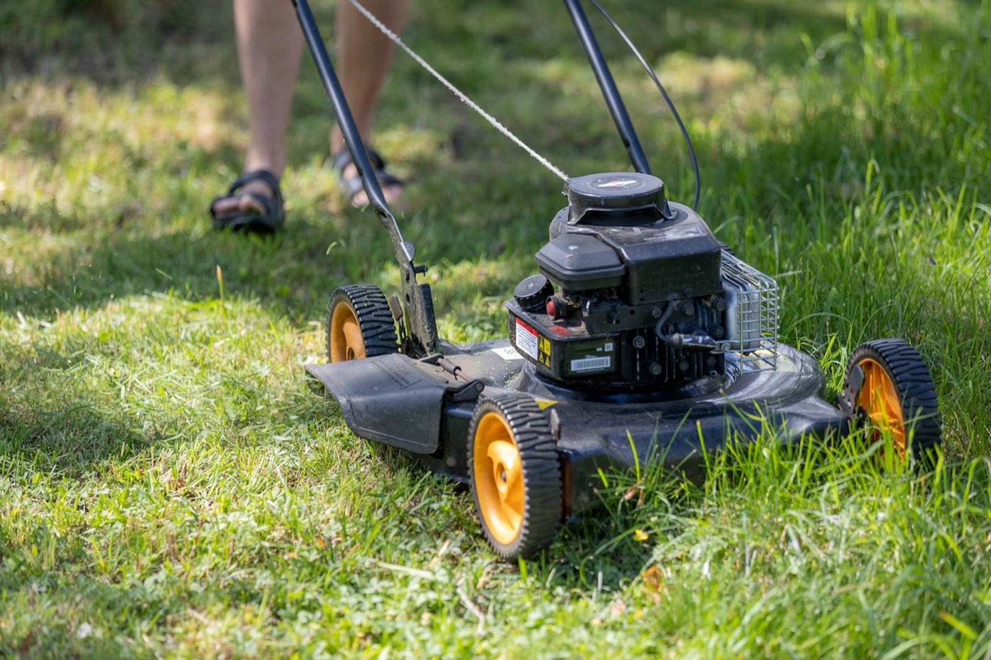 Lawn mower cutting grass close up