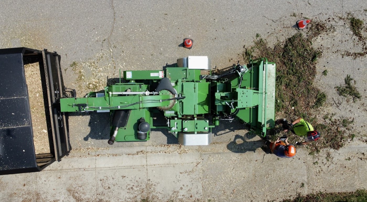 Green waste and garden rubbish being cleared from a property