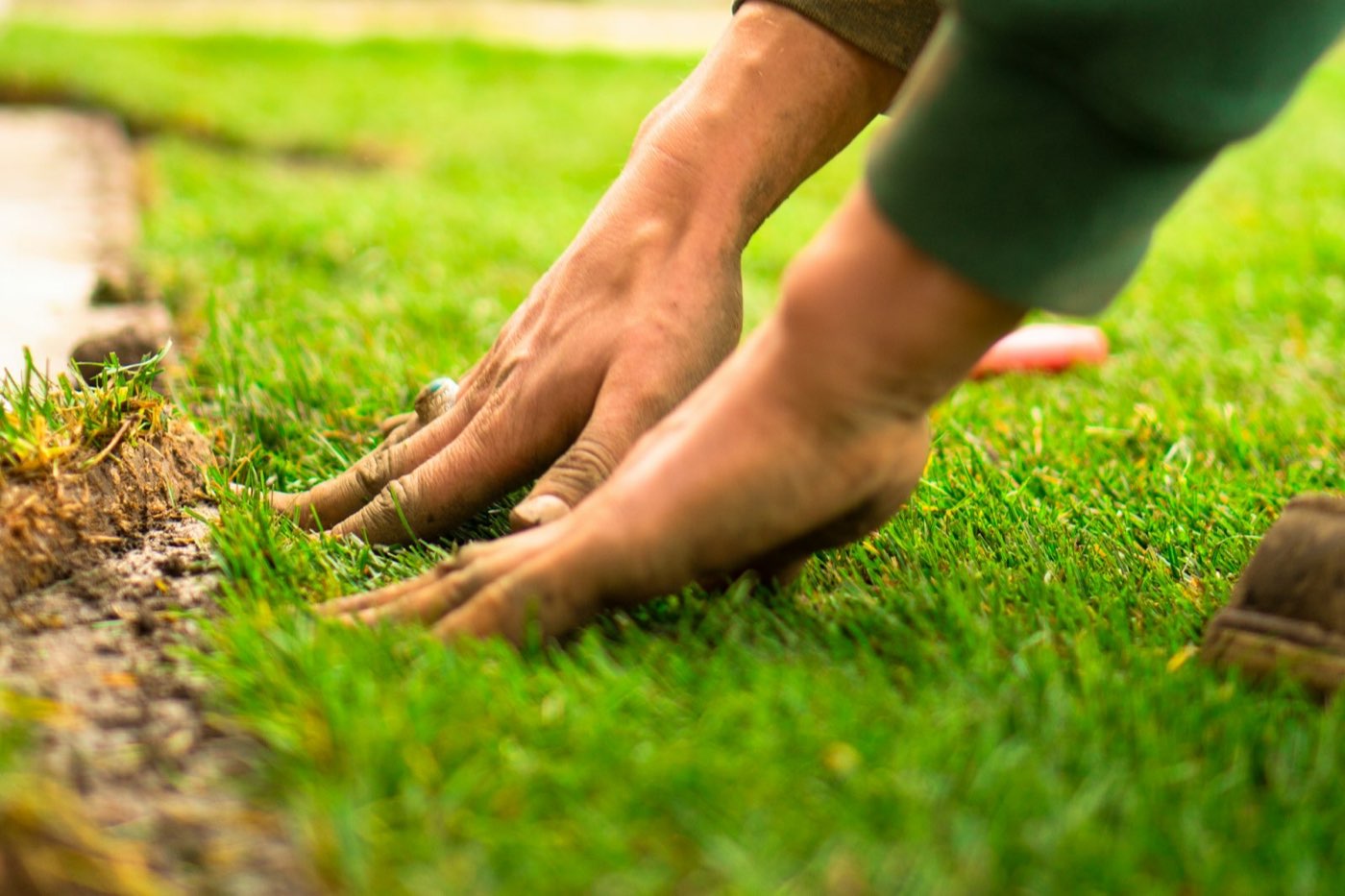 Hands laying fresh turf rolls onto prepared soil